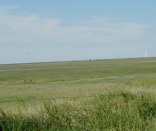 shortgrass prairie