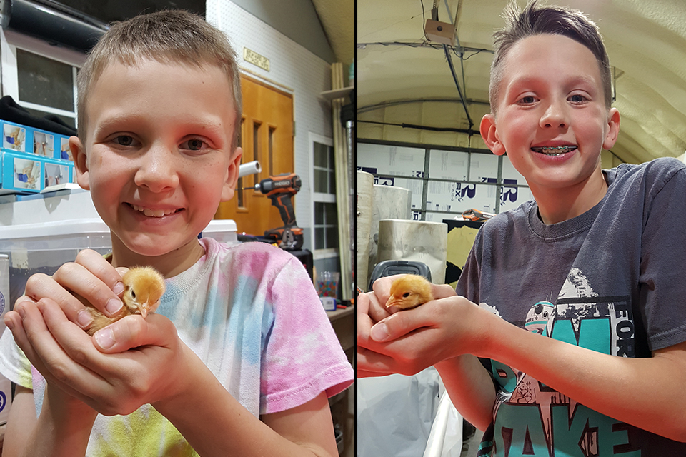 The Neusch boys are raising 38 chickens, and started a garden